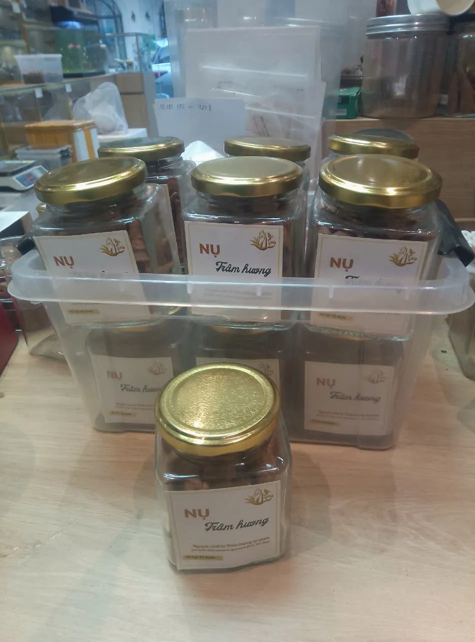 Premium Agarwood Cone Incense – Long Burning Vietnamese Oud Cones (Box of 42)